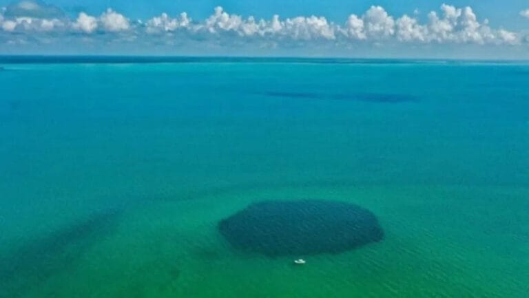 Aerial view of the Taam Ja' Blue Hole, the deepest blue hole in the world