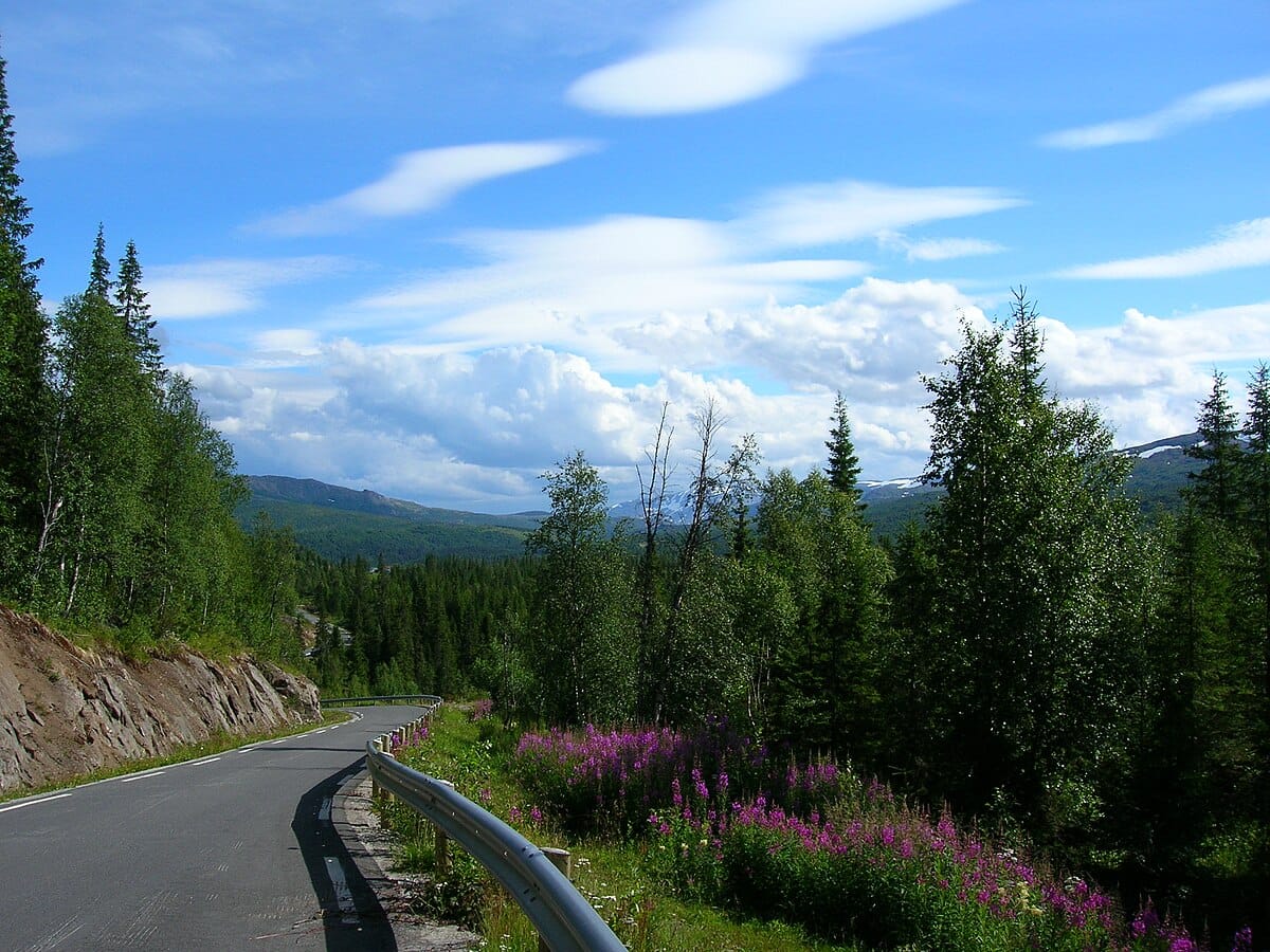 A road in Plurdalen Valley, in Nordland County, in Norway